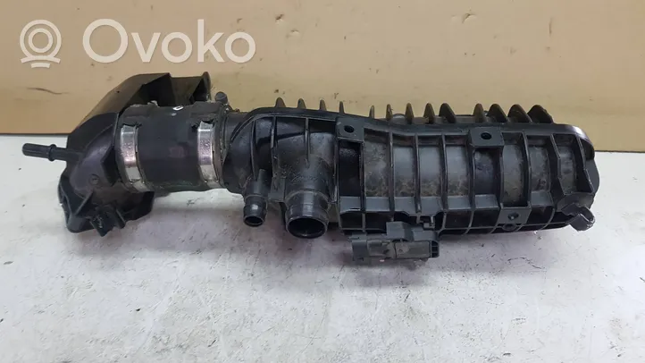 Ford Connect Intake manifold 1047092S01