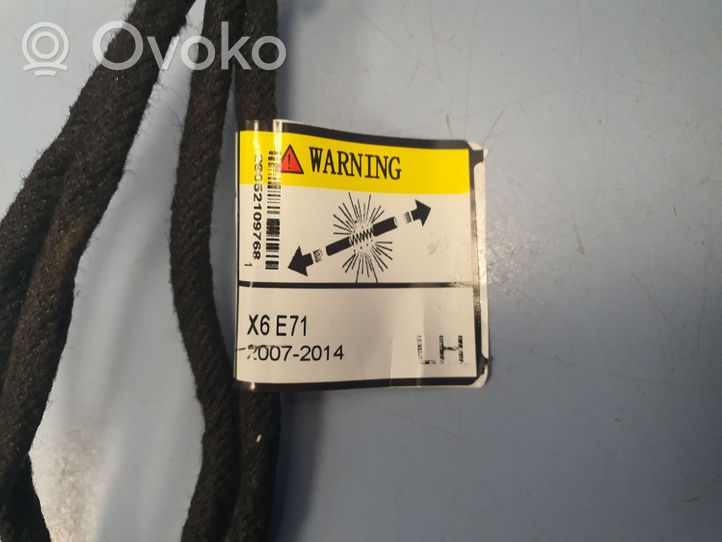 BMW X6 E71 Siłownik zamka klapy tylnej bagażnika 51247332697