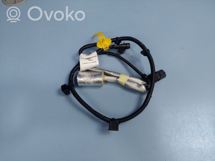 Citroen Jumper Other wiring loom 1393998080