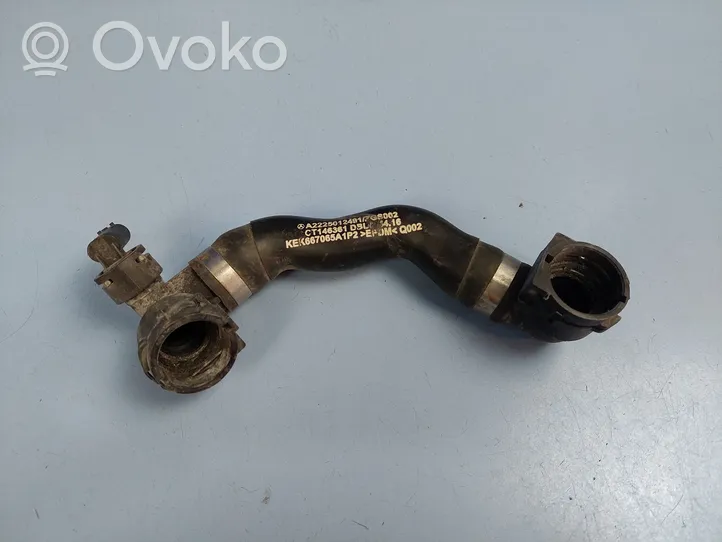 Mercedes-Benz S W222 Engine coolant pipe/hose A2225012491