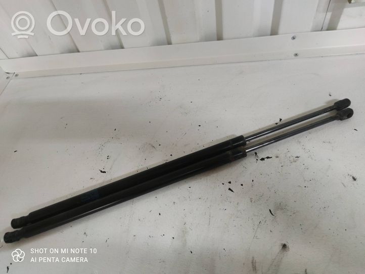 Chrysler Voyager Rear window strut damper 