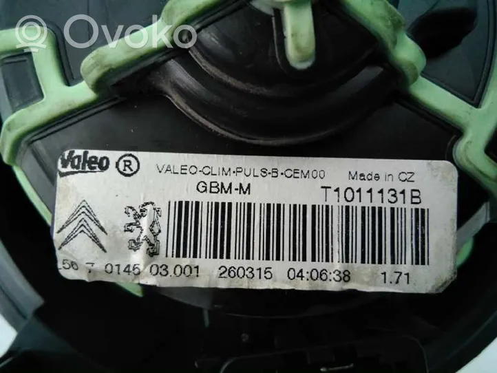 Citroen DS4 Obudowa nagrzewnicy T1011131B