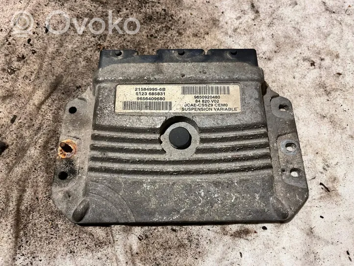 Peugeot 607 Calculateur moteur ECU 9650920480