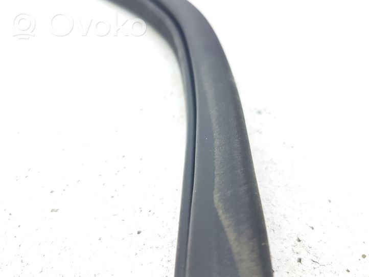 Ford Escape III Rear door rubber seal (on body) EJ54S253A10BB