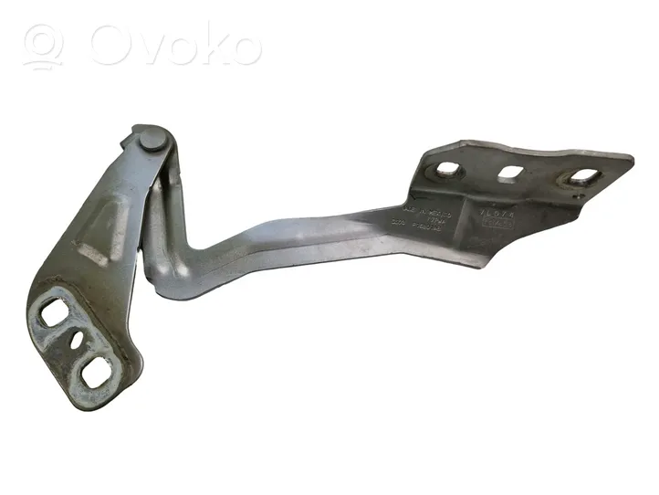 Ford Fusion II Cerniere del vano motore/cofano DS73F16801