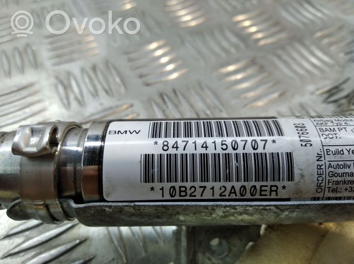 BMW X5 E70 Stogo oro pagalvė (užuolaida) 84714150707