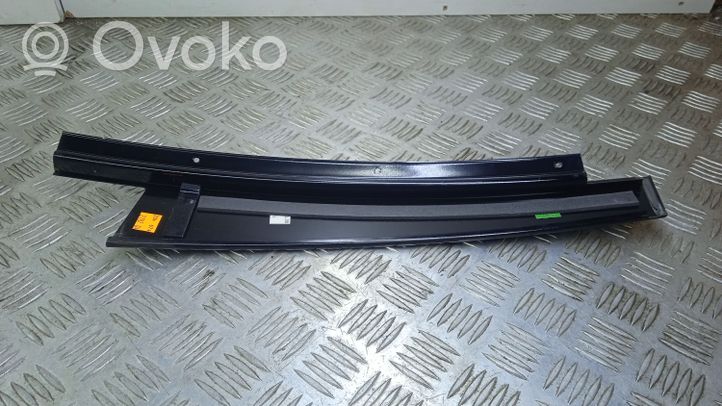 Mercedes-Benz C AMG W204 Rivestimento portiera posteriore (modanatura) A2046900387