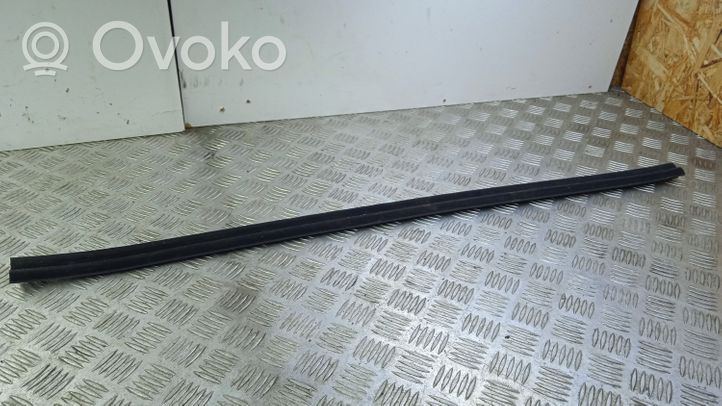 Volvo C70 Rubber seal front coupe door 31256254