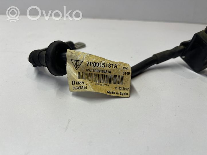 Porsche Cayenne (9PA) Câble négatif masse batterie 7P0915181A