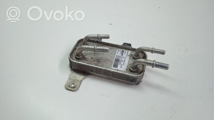 Land Rover Range Rover Sport L494 Radiatore del carburatore (radiatore) CPLA9N103AA