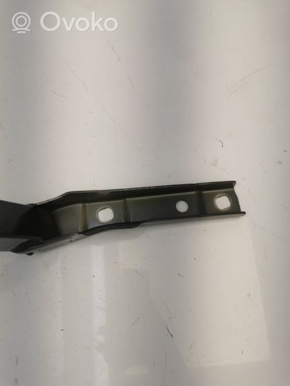 BMW 4 F32 F33 Cerniera portellone posteriore/bagagliaio 