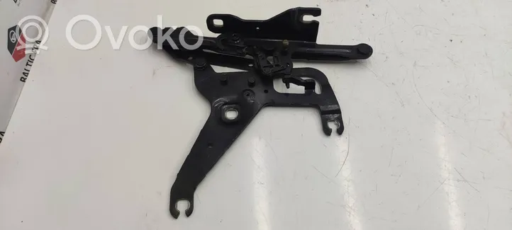 BMW X5 F15 Cerniere del vano motore/cofano 7294529