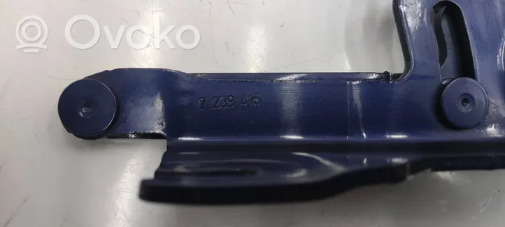 BMW 3 F30 F35 F31 Cerniere del vano motore/cofano 7239415