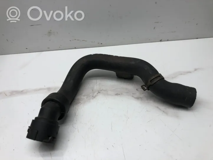 Volkswagen PASSAT B5.5 Engine coolant pipe/hose 
