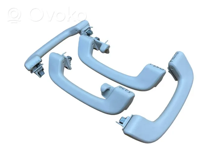 BMW 5 G30 G31 Un set di maniglie per il soffitto 