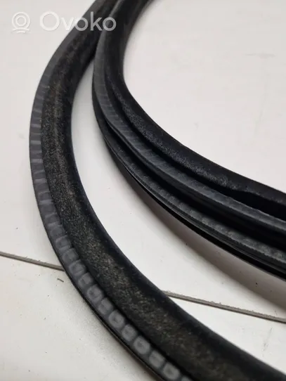 BMW X6 F16 Front door rubber seal 7317811