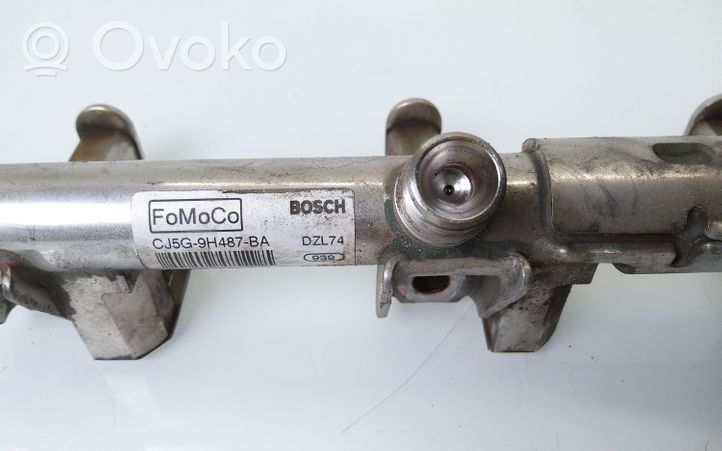 Ford Connect Listwa wtryskowa CJ5G9H487BA