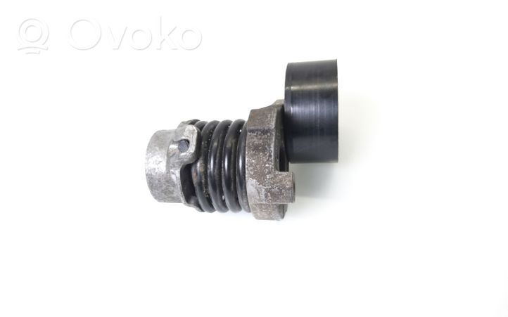 Renault Clio IV Napinacz paska alternatora 117506193R