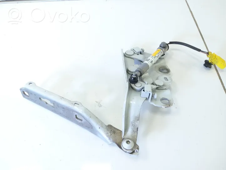 Audi A3 S3 8P Cerniere del vano motore/cofano 8V0823301