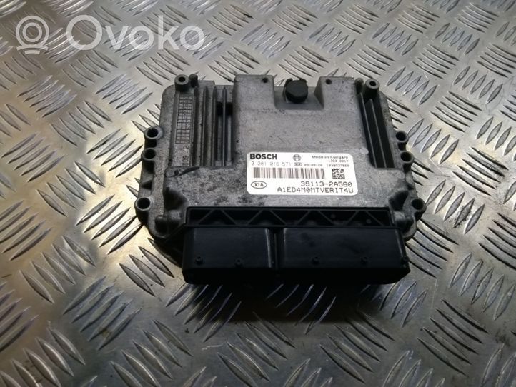 KIA Ceed Sterownik / Moduł ECU 0281016571