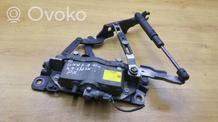 BMW 5 F10 F11 Cerniere del vano motore/cofano 7191049