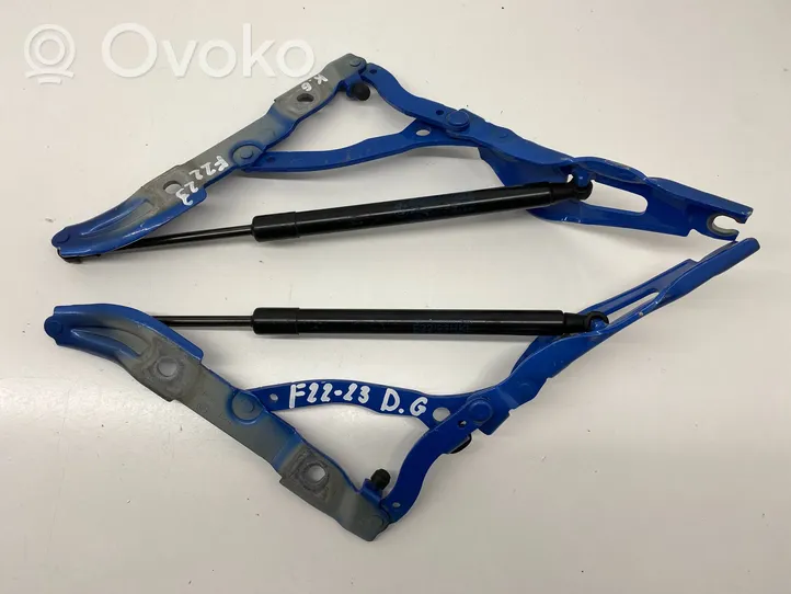 BMW 2 F22 F23 Cerniera portellone posteriore/bagagliaio 730455704