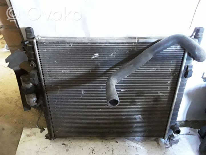 Mercedes-Benz ML W163 Dzesēšanas šķidruma radiators 1005583