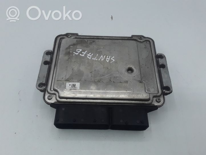 Hyundai Santa Fe Sterownik / Moduł ECU 0281012670