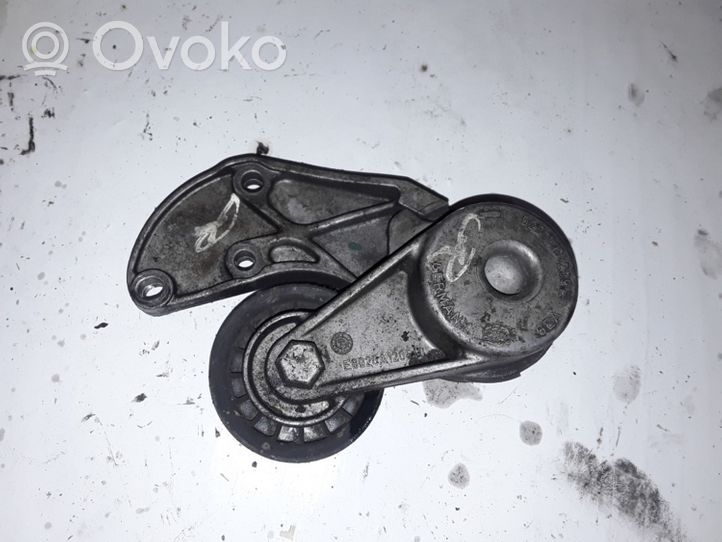 Volkswagen Touareg I Napinacz paska wielorowkowego / Alternatora 022145299E