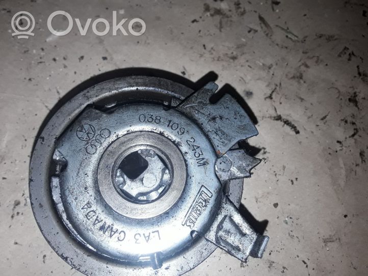 Volkswagen PASSAT B6 Belt tensioner pulley 038109243M