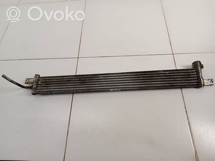 Opel Antara Radiatore del servosterzo 95481107