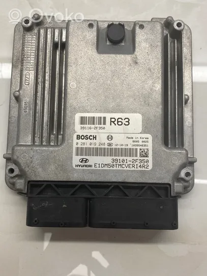 Hyundai Santa Fe Sterownik / Moduł ECU 0281019248