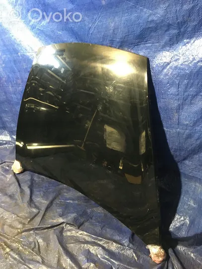 Porsche Cayenne (9PA) Engine bonnet/hood L041