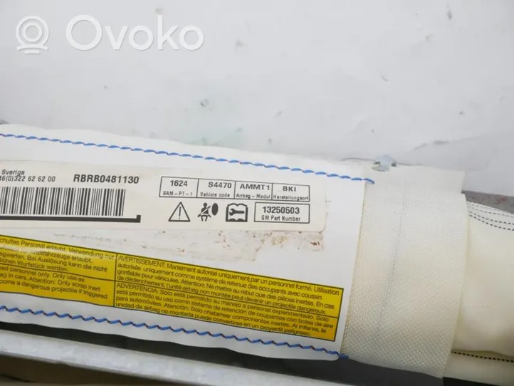 Opel Meriva B Poduszka powietrzna Airbag boczna 13250503