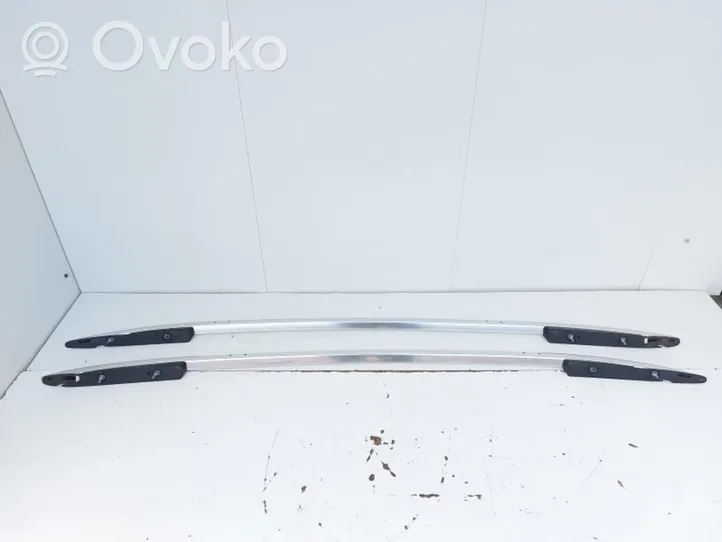 Volkswagen Tiguan Rain gutter 