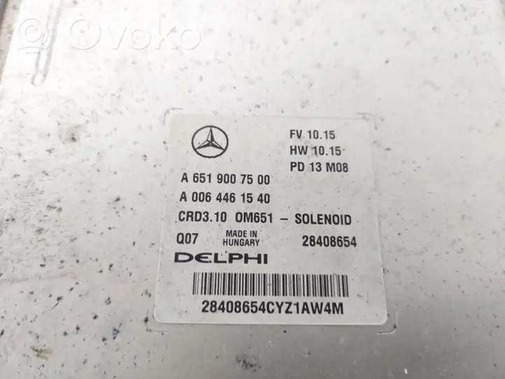 Mercedes-Benz CLS C218 AMG Calculateur moteur ECU A6519007500