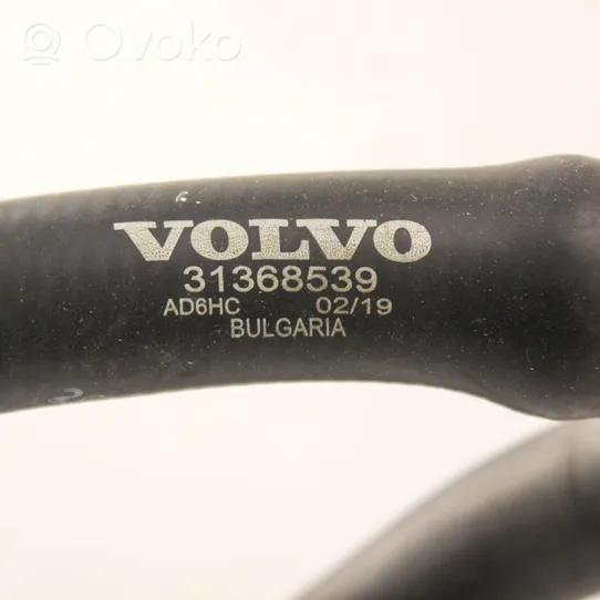 Volvo XC90 Przewód / Wąż chłodnicy 31368539