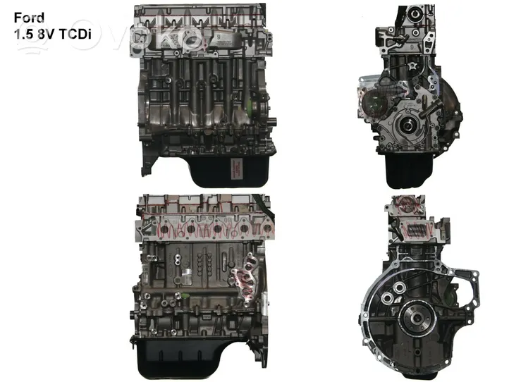 Ford Ecosport Engine UGJE