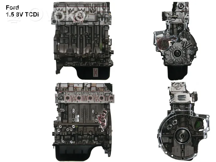 Ford Connect Двигатель XUGA