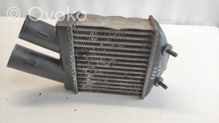 Renault Scenic I Chłodnica powietrza doładowującego / Intercooler 8200047162