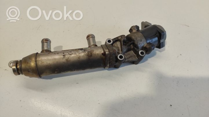 Citroen C6 Chłodnica spalin EGR 4U3Q9Y493AK