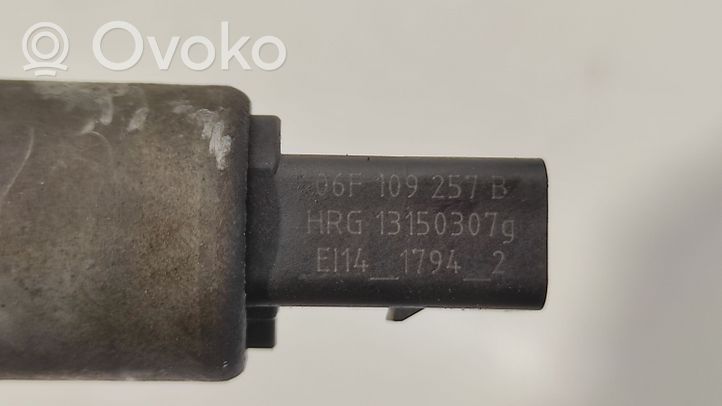 Skoda Octavia Mk2 (1Z) Koło pasowe wałka rozrządu / VANOS 