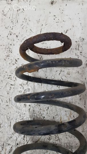 Volkswagen New Beetle Front coil spring 