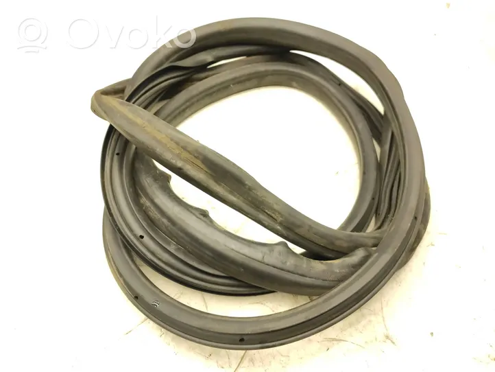 Volkswagen Crafter Front door rubber seal 