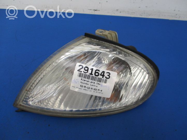 Hyundai Elantra Front indicator light 