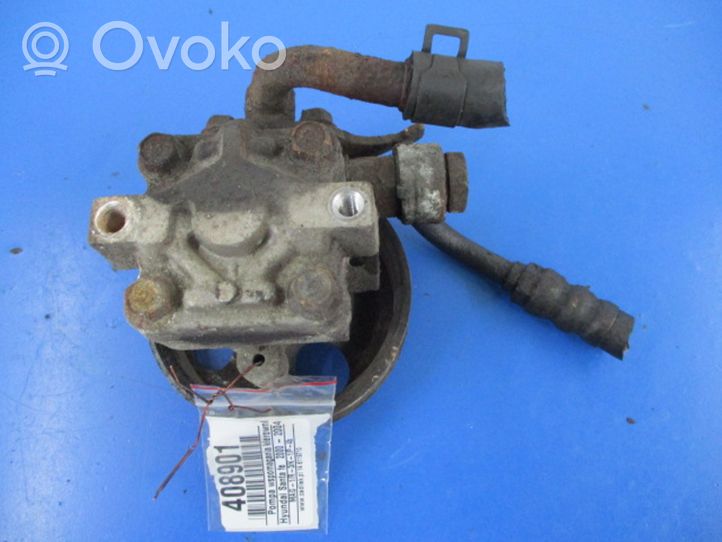 Hyundai Santa Fe Power steering pump 