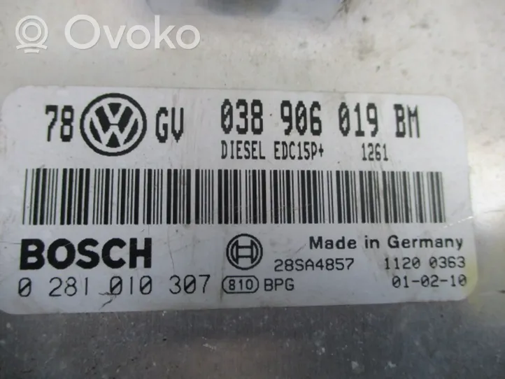 Volkswagen PASSAT B5.5 Galios (ECU) modulis 038906019BM