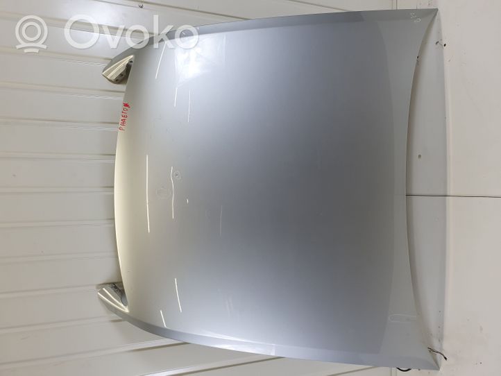 Volkswagen Phaeton Engine bonnet/hood 