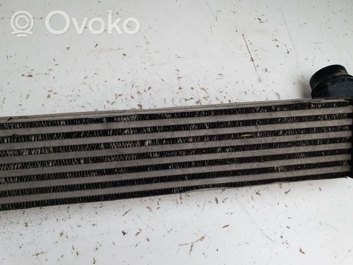 Renault Megane III Chłodnica powietrza doładowującego / Intercooler 