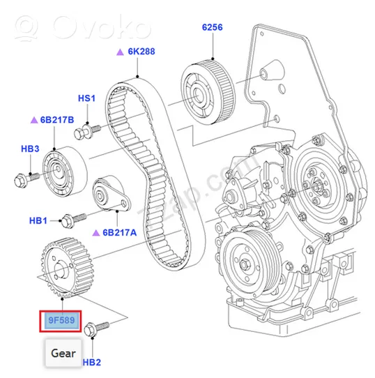 Ford Focus Fuel pump gear (pulley) 